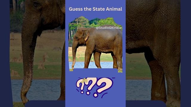 Discover India's State Animals in this Exciting Species Guessing Game!