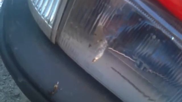 На машину наделала птичка смотреть онлайн