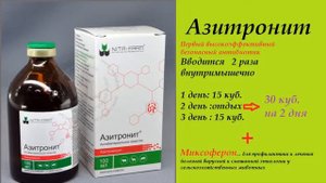 Нодулярный дерматит крупного рогатого скота  Способы лечения