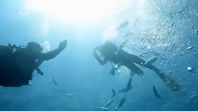 Бокс Seashell SS-I и Акула смотреть онлайн