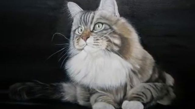 Мое слайд-шоу!!! смотреть онлайн