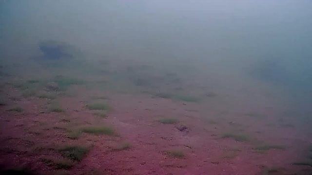 ПОДВОДНАЯ ВИДЕОУДОЧКА смотреть онлайн