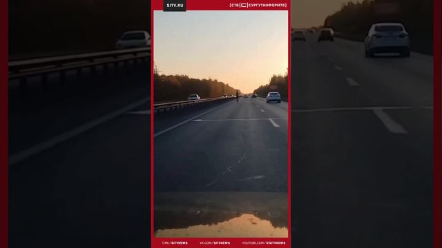 Самокатчик выехал на тюменскую трассу и даже не отставал от потока машин, гнал,