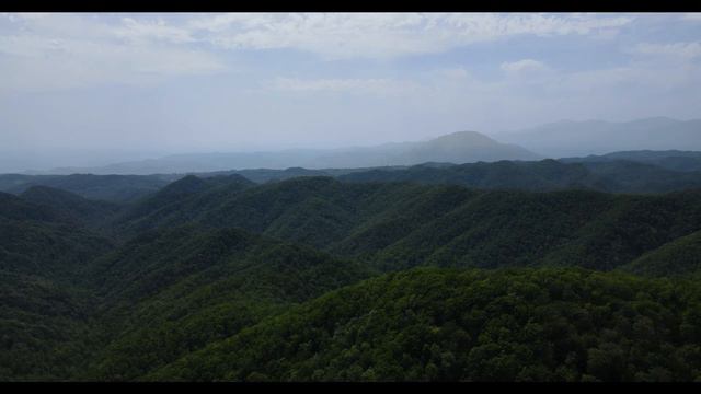 Music and sounds of nature for relaxation, inner peace, anxiety and meditation.
