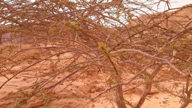 25.🇮🇱Парк Тимна Эйлат. Ч3. Древние рудники. TIMNA. ISRAEL.