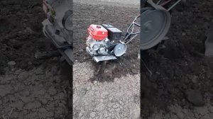 Весенняя фрезеровка мотоблоком Форза.