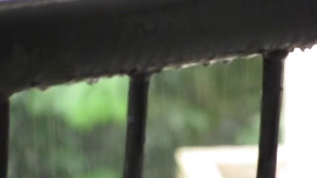 Canon powershot SX120 IS video test смотреть онлайн