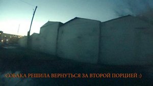 Темный выпуск - Перцовый баллончик против Собак - 8. Перец. Город глазами велосипедиста #229