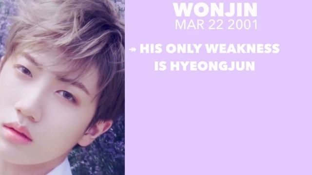 A Helpful Guide To Cravity| 2021 ver смотреть онлайн