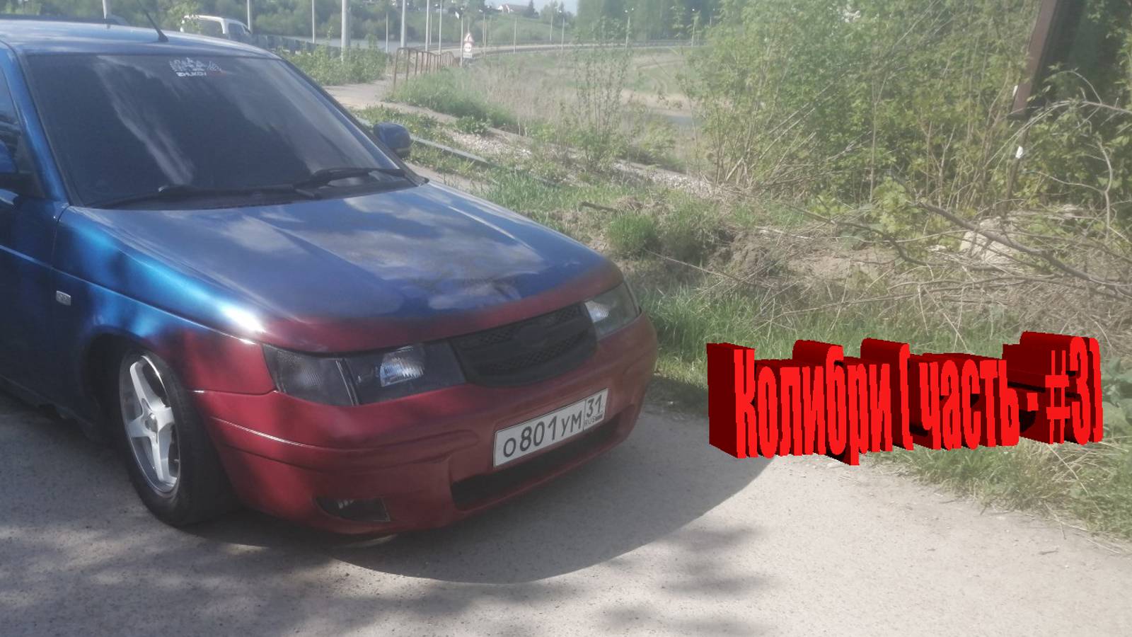 Колибри ( часть - #3)