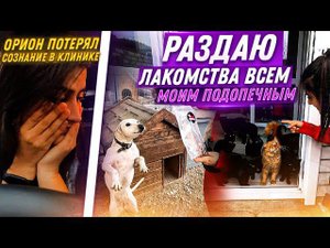 Все мои подобрыши очень скучают. Раздаем лакомства с посылки. Ориону стало плохо на процедурах