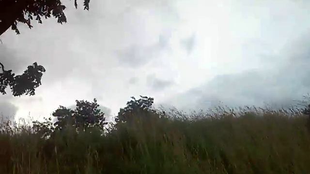 Новый Вриндаван - Дерево Баян, Слава ВсеВышнему!.. смотреть онлайн