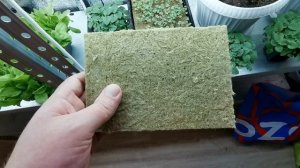 НА ЧЕМ ВЫРАЩИВАТЬ МИКРОЗЕЛЕНЬ - БИОГРУНТ, АГРОВАТА, ЛЬНЯНЫЕ КОВРИКИ, КОКОСОВЫЙ СУБСТРАТ