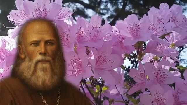 Праведный АЛЕКСИЙ Московский. ЛУЧШИЕ НАСТАВЛЕНИЯ смотреть онлайн