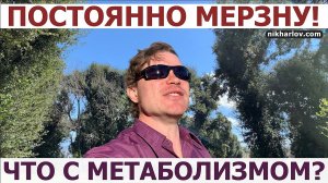 Температура тела, Мерзлявость, мощность метаболизма, Непереносимость холода. Волна доктора Никиты.