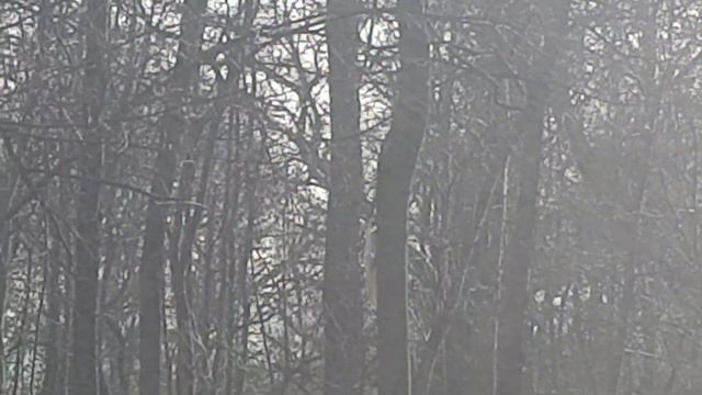 Парк "Чистяковская роща" смотреть онлайн