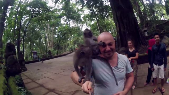 Monkeys attack! Нападение обезьян Бали Индонезия Обезьяний лес