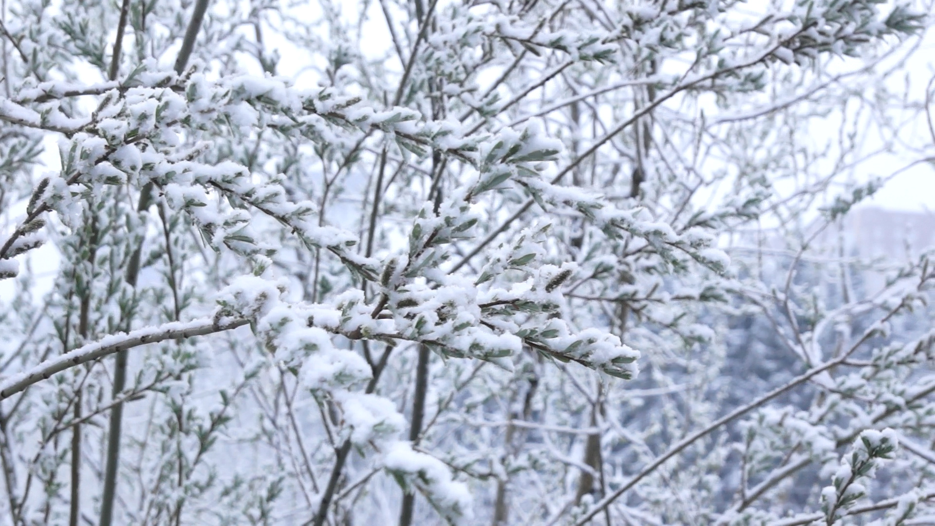 21 мая 2022 г.mp4 смотреть онлайн