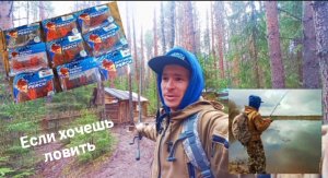 Просто таскаю одну за одной! Сказка, а не рыбалка! Приманки Brown Perch - рыбе капеЧ!