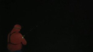 Осенняя рыбалка. Сазан на Ахтубе