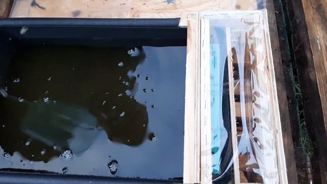 Закорм пчел в зиму, сахарным сиропом ,самодельными потолочными кормушками. смотреть онлайн