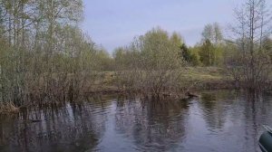 Река Ландех. Правый берег поселок Нижний Ландех. Май 2021.