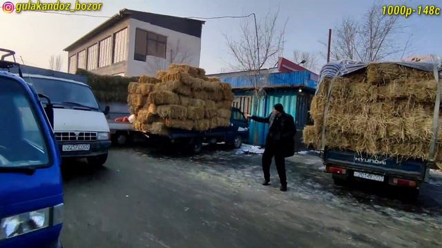 Ғулакандоз Пайшанба Молбозоридан Ем-Хашак Нархлари.19.01.2023.