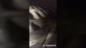 Замена масла в коробке Опель Зафира 2.0D