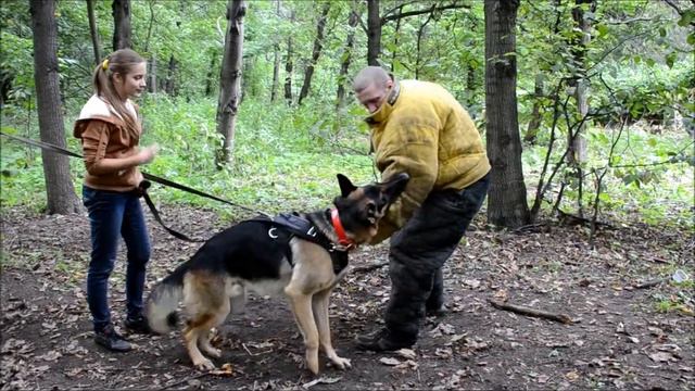 Агрессия Берхард, второй раз работает на костюм. 4 занятие. смотреть онлайн