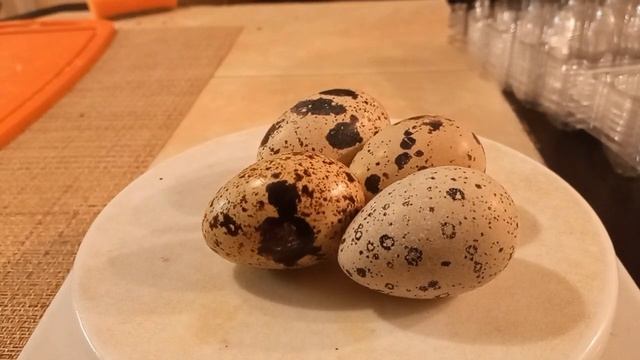 Как размер перепелиного яйца зависит от качества корма?Плюсы и минусы крупных яиц. смотреть онлайн