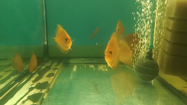 Что стало через пол года? смотреть онлайн