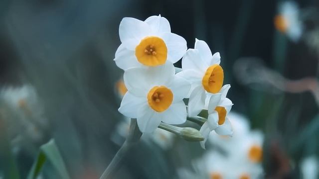 Божественная музыка трогает сердце! Красивая мелодия до слёз! Отличная музыка Сергей Грищук!