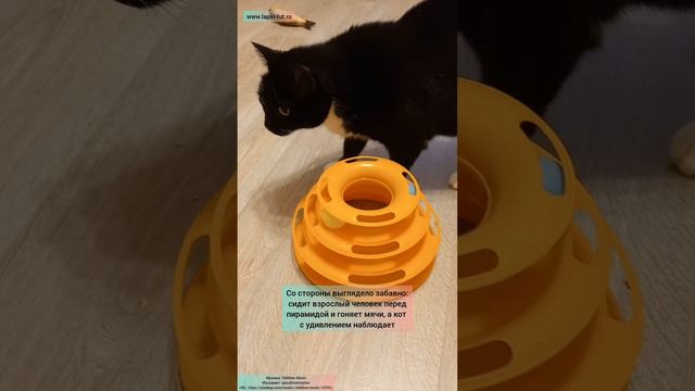 игрушки для кошек