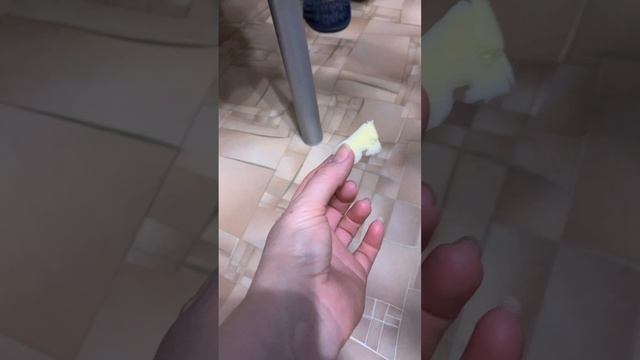 Милый пёс-живность у родственников в Рязанской области#рекомендации #лайфстайлблог #лайф #блоггер?