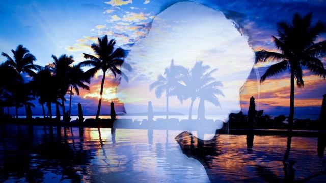 Николай Заболоцкий "Я трогал листы эвкалипта..." Читает Павел Морозов смотреть онлайн