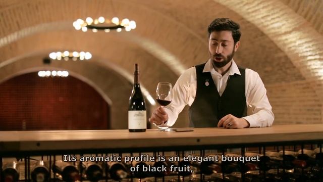Château Mukhrani | Tasting: Qvevri Red   • შატო მუხრანი | დეგუსტაცია: ქვევრი წითელი