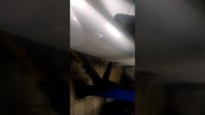 форд фокус 2 замена выжимного подшипника