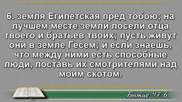 Ежедневное Чтение Библии 24 Января: Псалом 23, От Матвея 24, Бытие 47, 48 смотреть онлайн