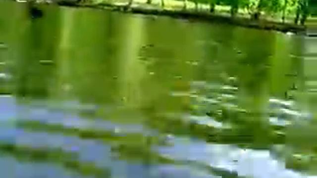 MOV03582 смотреть онлайн