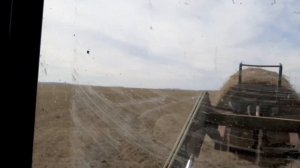 Сенокос 2022. Прессовка сена. Погрузка,  перевозка, выгрузка и складирование сена.