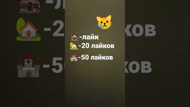 #где будет жить котёнок