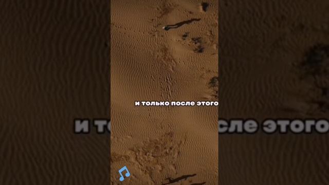 Всё зависит только от нас