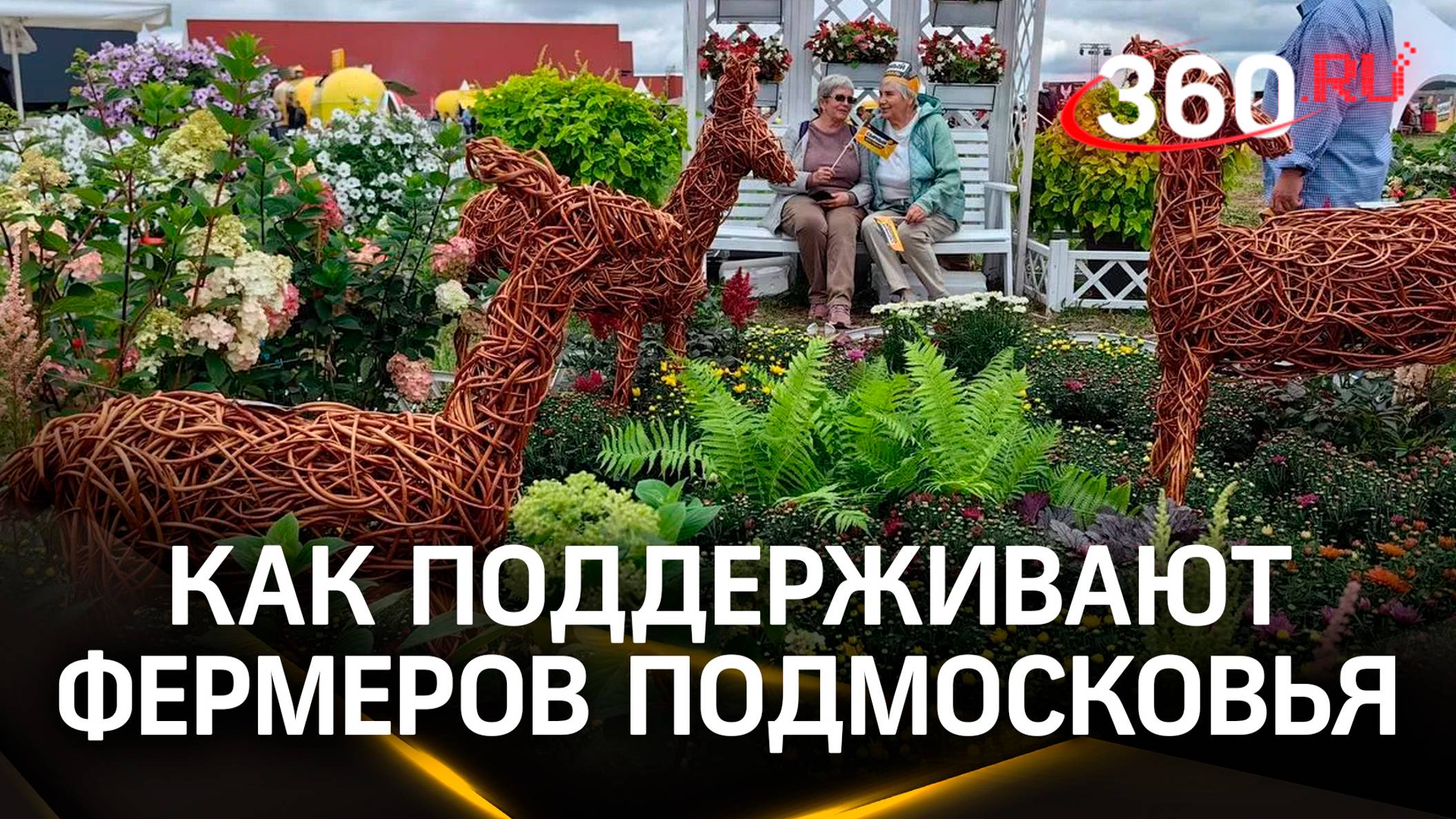 Поддержка фермеров. Как новый закон поможет развитию агроагрегаторов в Подмосковье
