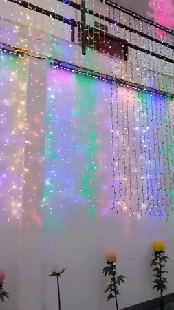 IP65 Waterproof led garland Christmas Lights festoon curtain light best quality manufacturer