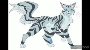 Кто ты из Котов Воителей по числу рождения ( Кошки ) | Новая рубрика |