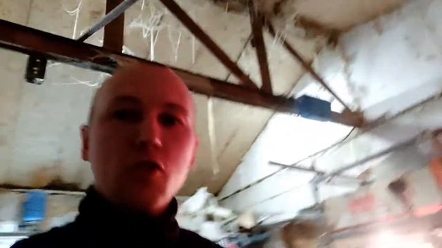 забой перепелов/Экоферма64/инкубация перепелов/эксперимент день 4/техасский бройлер