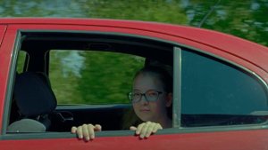 Как Витька Чеснок вез Леху Штыря в дом инвалидов (2017) Full HD