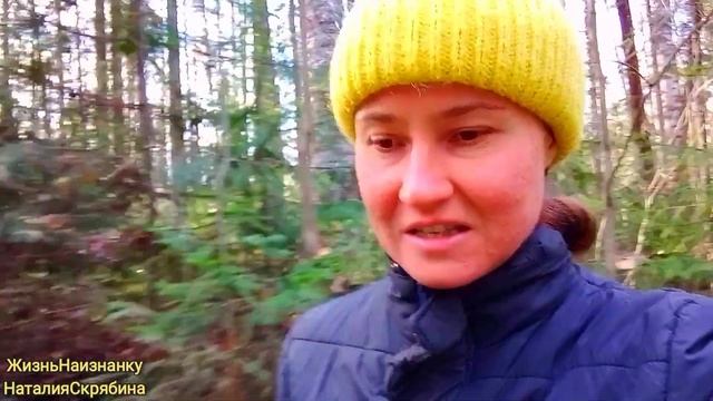 ЗАНЕСЛИСЬ БРОЙЛЕРЫ.ШАШЛЫК.ЗАГОТОВКА ДРОВ И ПЕРЕКОПКА ПАШНИ ПОД ПАР. смотреть онлайн