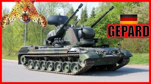 Немецкая зенитная установка GEPARD: что за зверь?