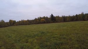 охота на реву 2021 как манить лося